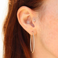 Les Brillantes 40 mm